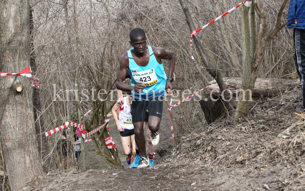 Crosslauf / Österreichische Staatsmeisterschaften / Innsbruck by kristen-images.com