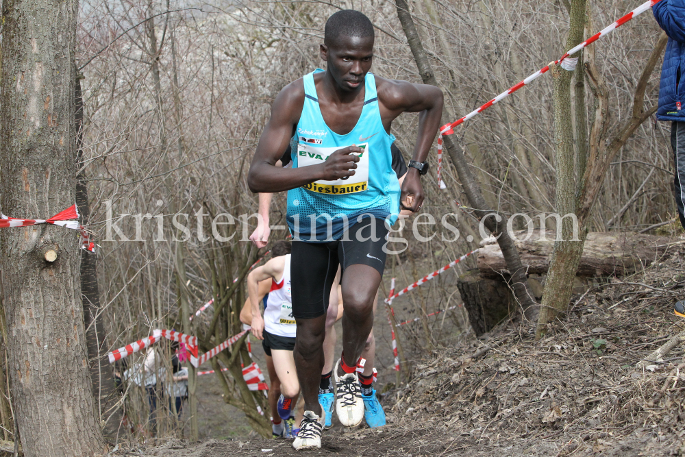 Crosslauf / Österreichische Staatsmeisterschaften / Innsbruck by kristen-images.com