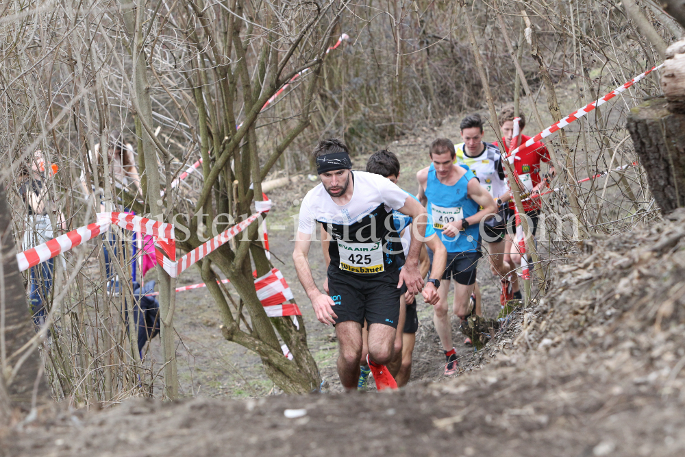 Crosslauf / Österreichische Staatsmeisterschaften / Innsbruck by kristen-images.com