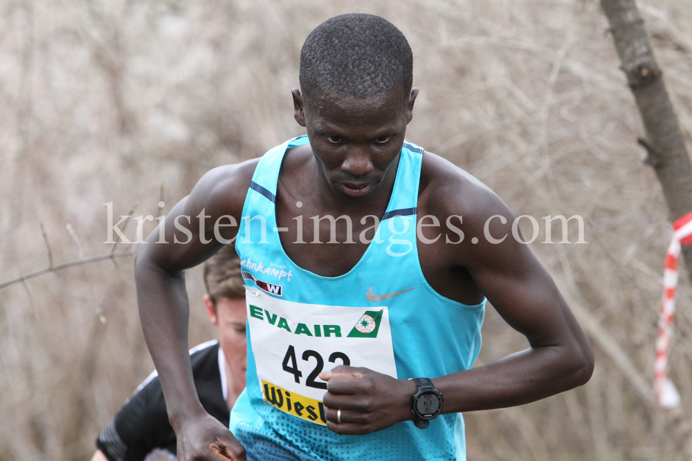 Crosslauf / Österreichische Staatsmeisterschaften / Innsbruck by kristen-images.com