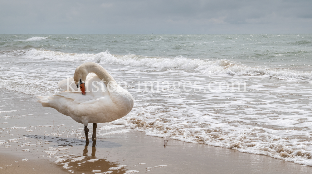 Lido di Jesolo, Venedig, Italien by kristen-images.com