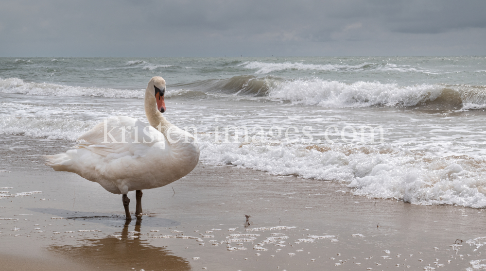 Lido di Jesolo, Venedig, Italien by kristen-images.com