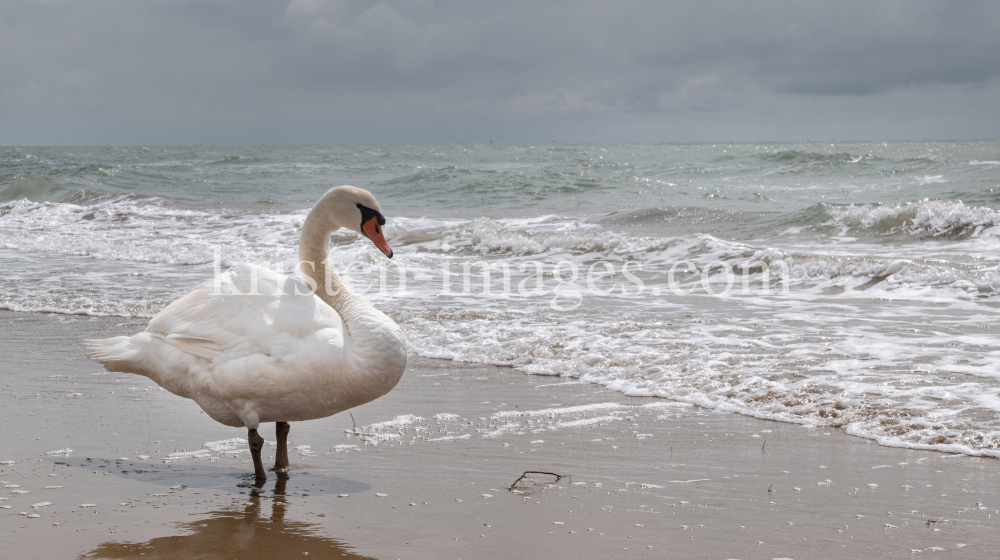 Lido di Jesolo, Venedig, Italien by kristen-images.com