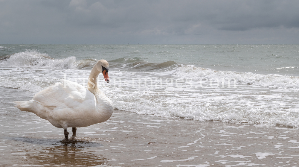 Lido di Jesolo, Venedig, Italien by kristen-images.com