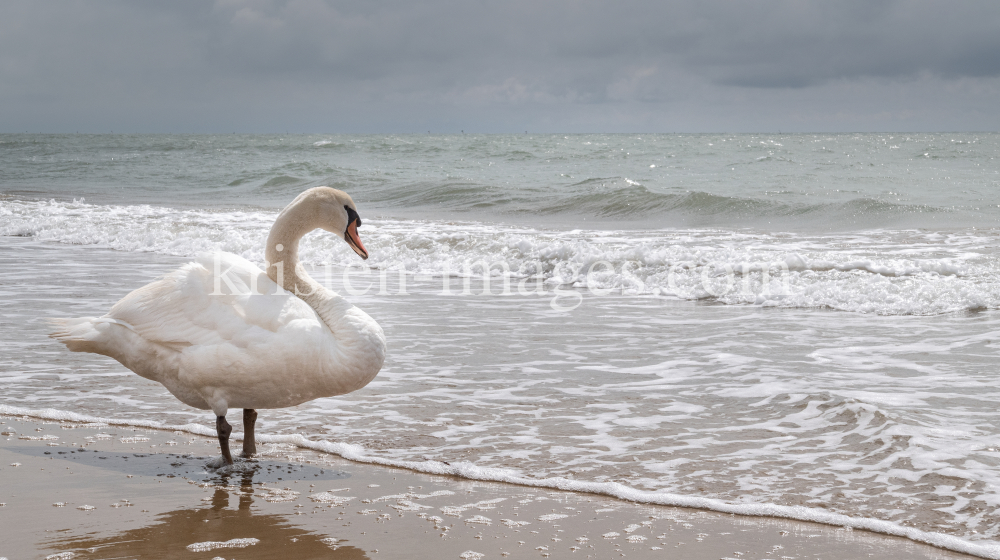 Lido di Jesolo, Venedig, Italien by kristen-images.com