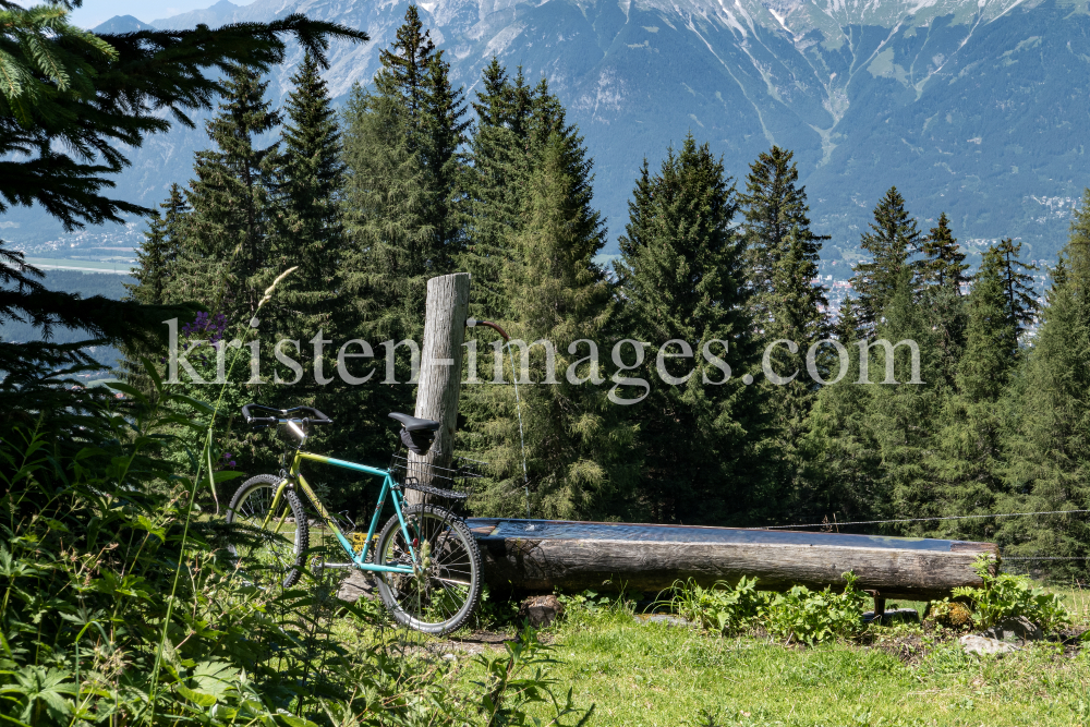 Almbrunnen / Patscherkofel, Igls, Innsbruck, Tirol, Austria by kristen-images.com