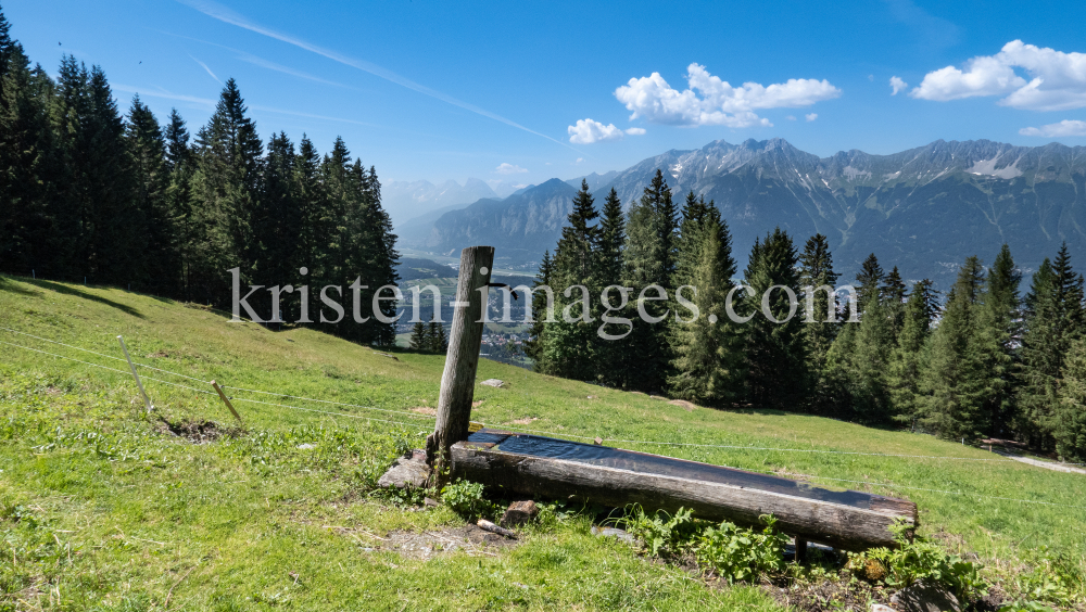 Almbrunnen / Patscherkofel, Igls, Innsbruck, Tirol, Austria by kristen-images.com