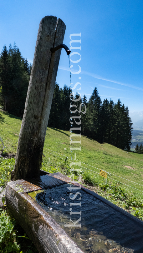 Almbrunnen / Patscherkofel, Igls, Innsbruck, Tirol, Austria by kristen-images.com