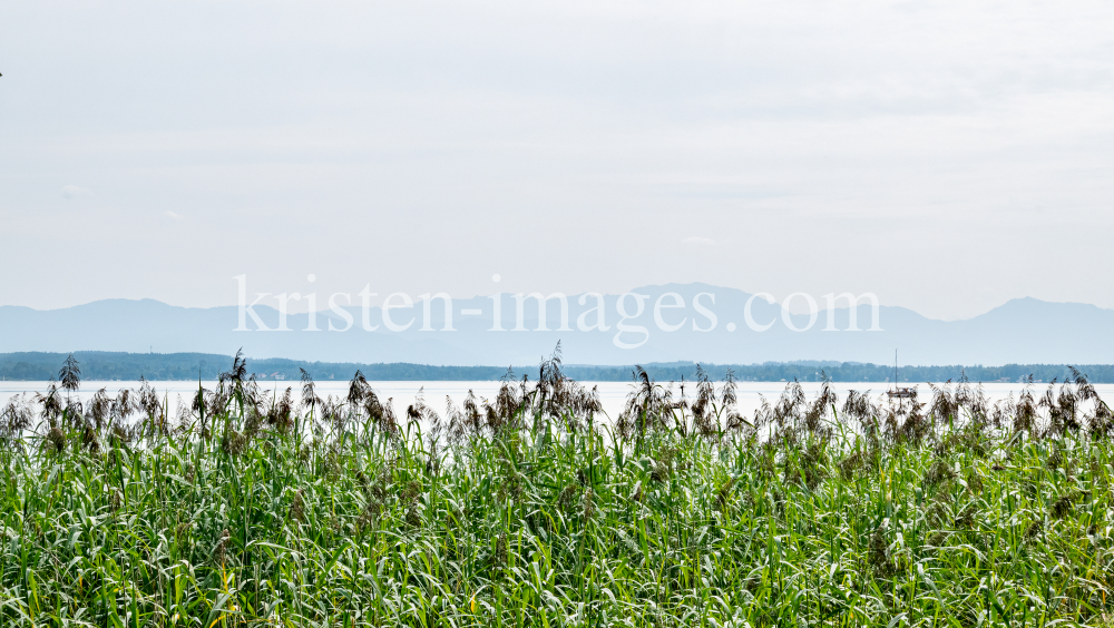 Starnberger See, Bayern, Deutschland by kristen-images.com