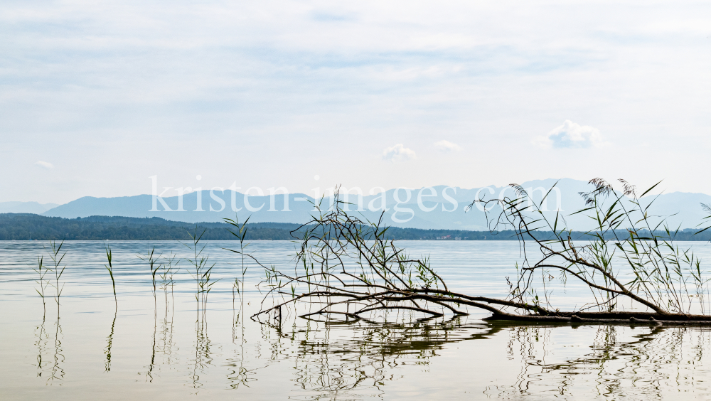 Starnberger See, Bayern, Deutschland by kristen-images.com