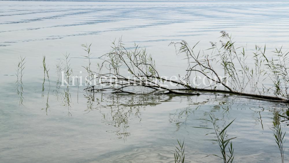 Starnberger See, Bayern, Deutschland by kristen-images.com