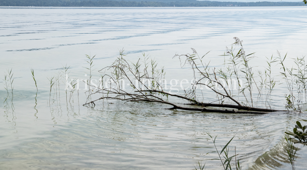 Starnberger See, Bayern, Deutschland by kristen-images.com