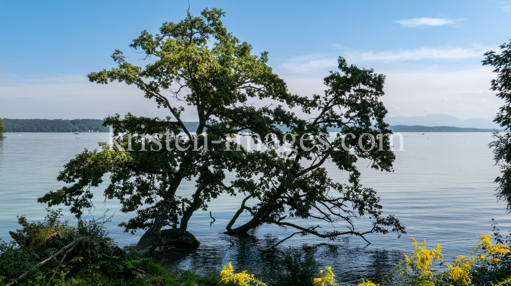 Starnberger See, Bayern, Deutschland by kristen-images.com