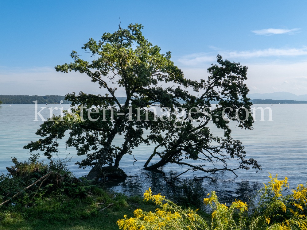 Starnberger See, Bayern, Deutschland by kristen-images.com