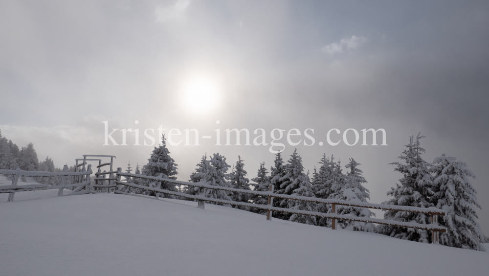 verschneite Bäume und Zaun im Nebel by kristen-images.com