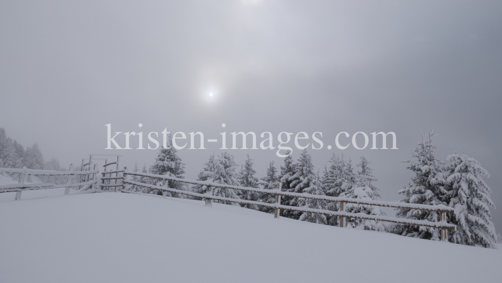 verschneite Bäume und Zaun im Nebel by kristen-images.com