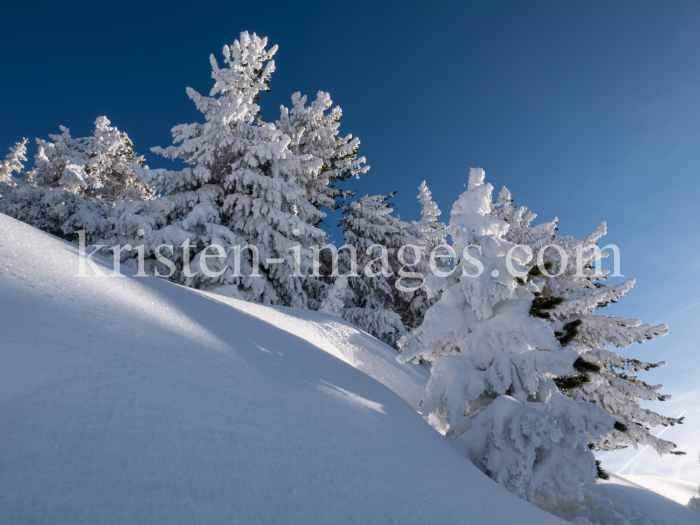 Winterlandschaft am Patscherkofel, Tirol, Austria by kristen-images.com