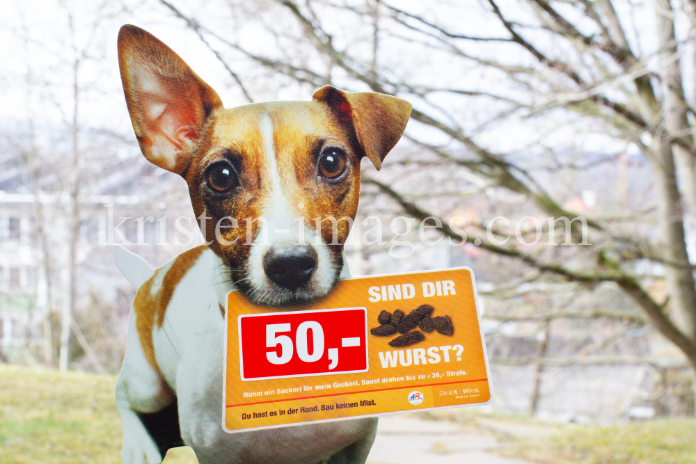 Hundeverordnungsschild der Stadt Wien by kristen-images.com