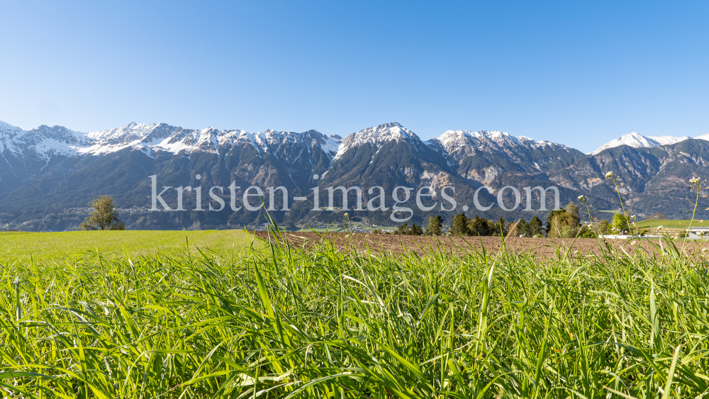 Wiese in Aldrans, Tirol, Austria by kristen-images.com