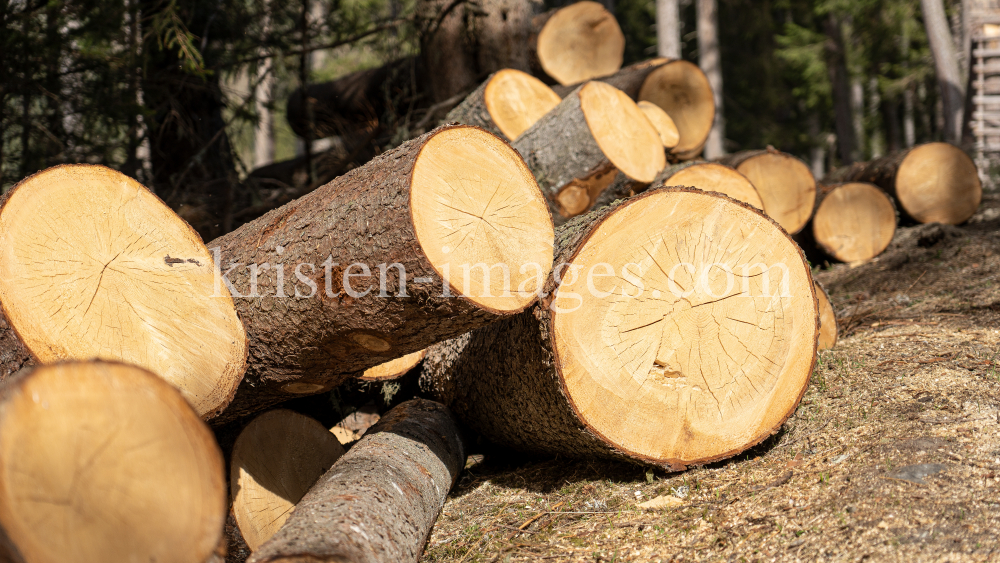 gefällte Bäume / Patscherkofel, Tirol, Austria by kristen-images.com