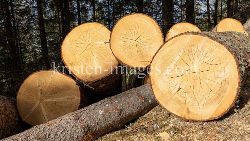 gefällte Bäume / Patscherkofel, Tirol, Austria by kristen-images.com