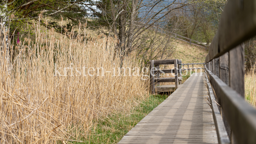 Viller Moor, Vill, Innsbruck, Tirol, Austria by kristen-images.com