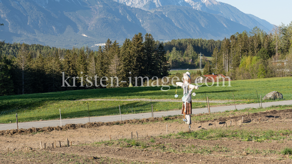 Vogelscheuche / Sistrans, Tirol, Austria by kristen-images.com