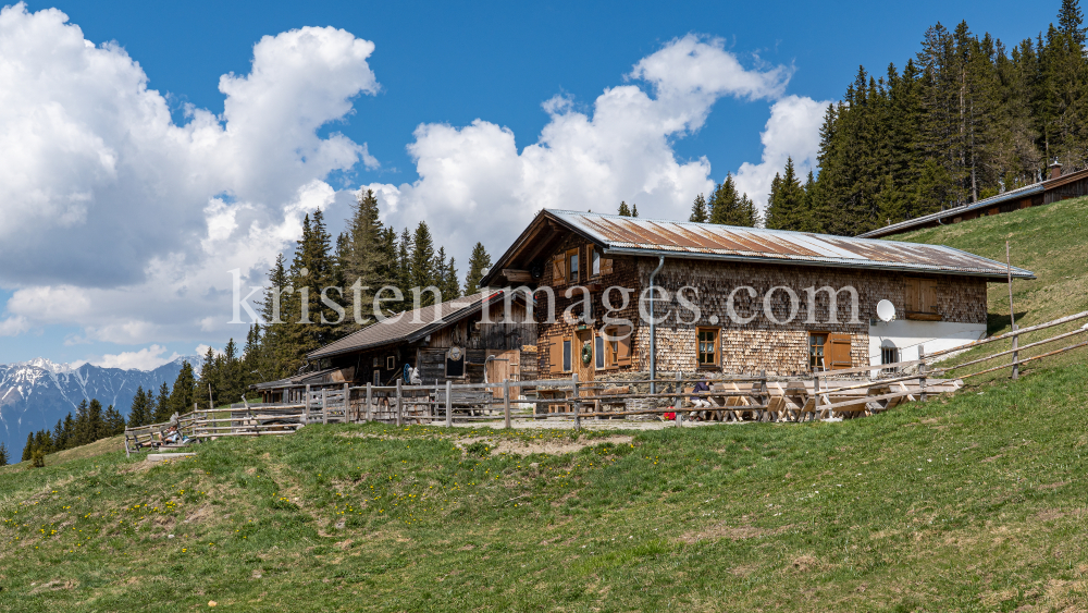 Patscher Alm, Patscherkofel, Patsch, Tirol, Austria by kristen-images.com