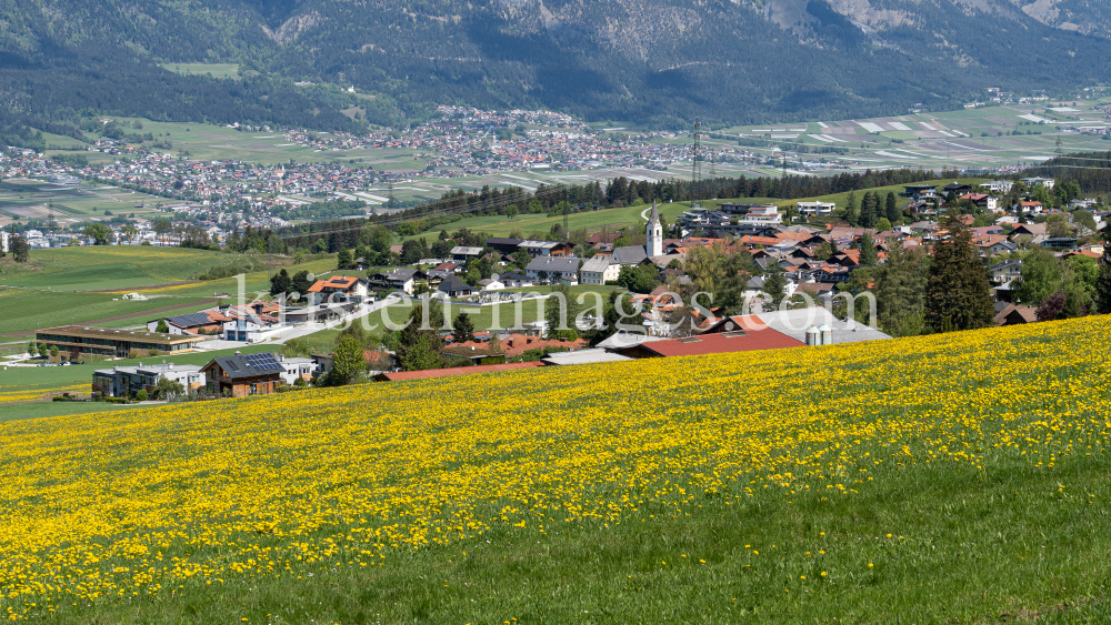Löwenzahnwiese in Sistrans, Tirol, Austria by kristen-images.com