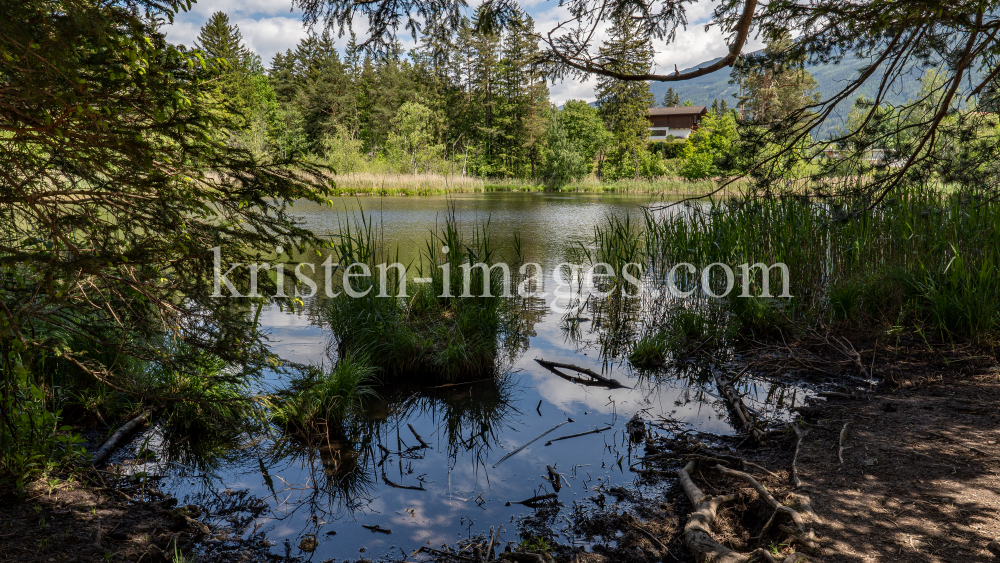 Seerosenweiher, Lans, Tirol Austria  by kristen-images.com