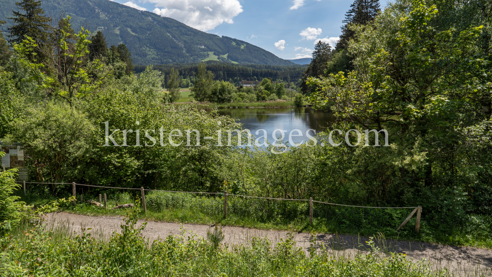 Seerosenweiher, Lans, Tirol Austria  by kristen-images.com