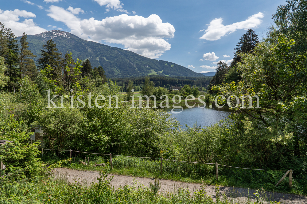 Seerosenweiher, Lans, Tirol Austria  by kristen-images.com