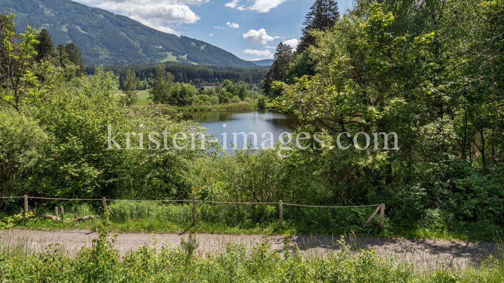 Seerosenweiher, Lans, Tirol Austria  by kristen-images.com