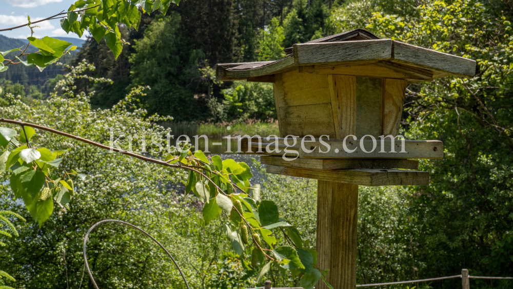 Vogelhaus / Seerosenweiher, Lans, Tirol Austria  by kristen-images.com