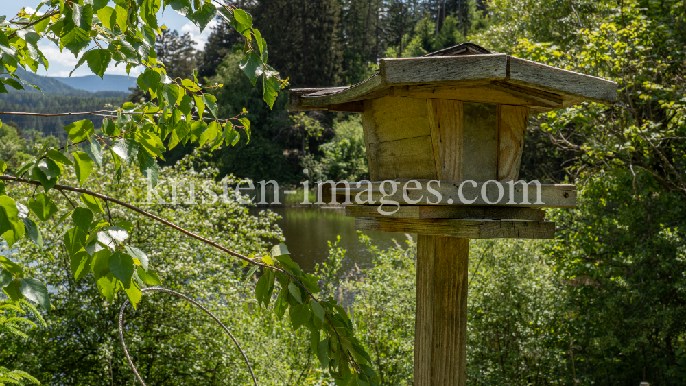 Vogelhaus / Seerosenweiher, Lans, Tirol Austria  by kristen-images.com