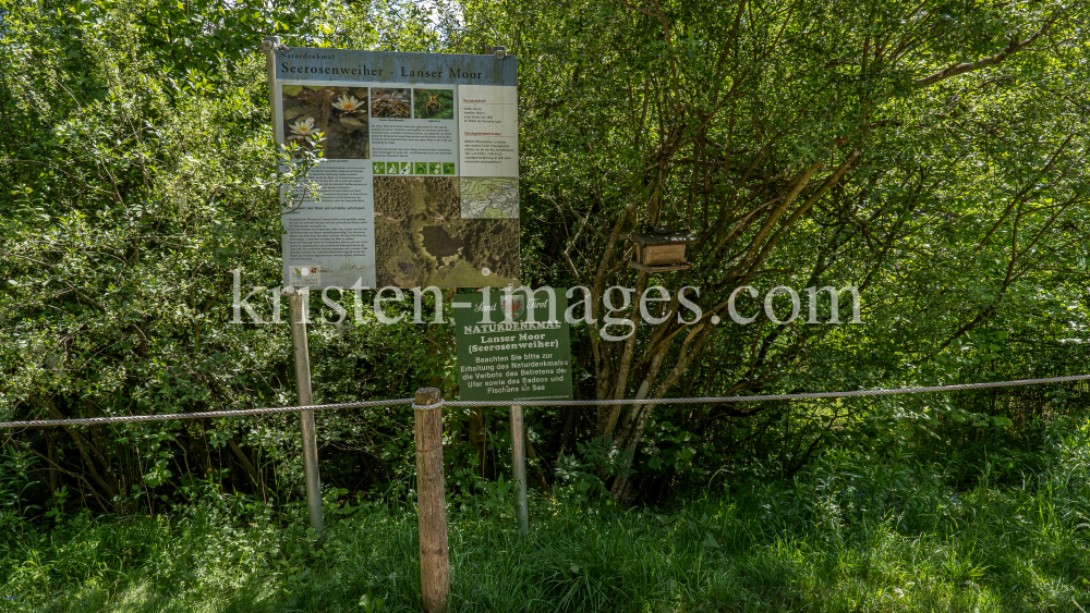 Seerosenweiher, Lans, Tirol Austria  by kristen-images.com