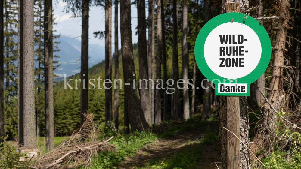 Wildruhezone / Patscherkofel, Tirol, Austria by kristen-images.com