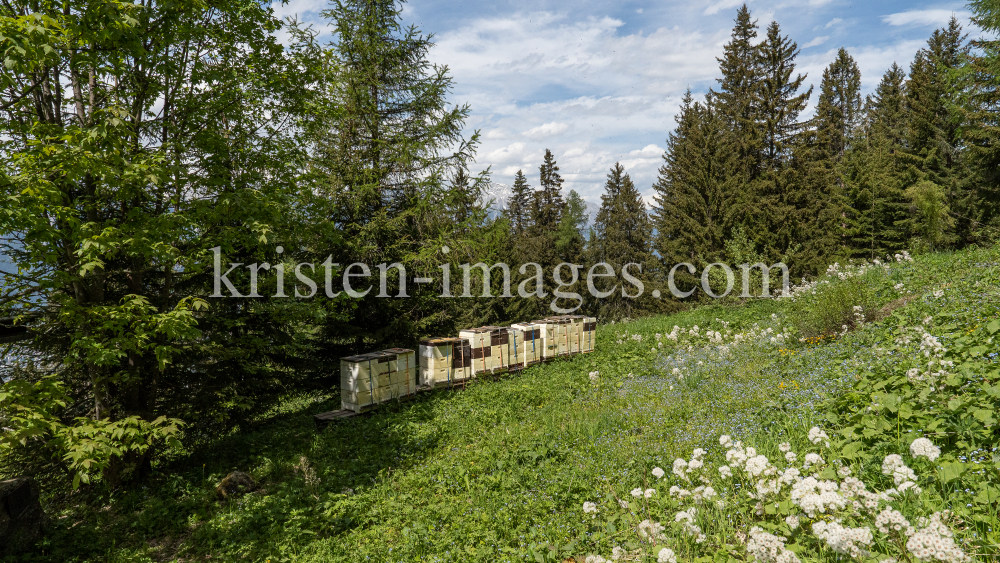 Bienenstock / Patscherkofel, Tirol, Austria by kristen-images.com