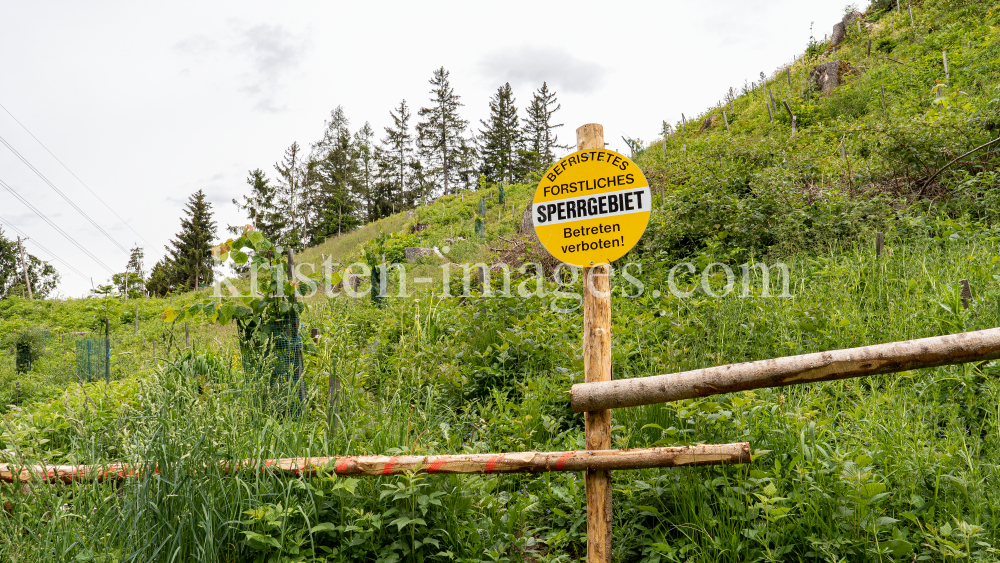 forstliches Sperrgebiet / Lanser Kopf, Paschberg, Lans, Tirol, Austria by kristen-images.com