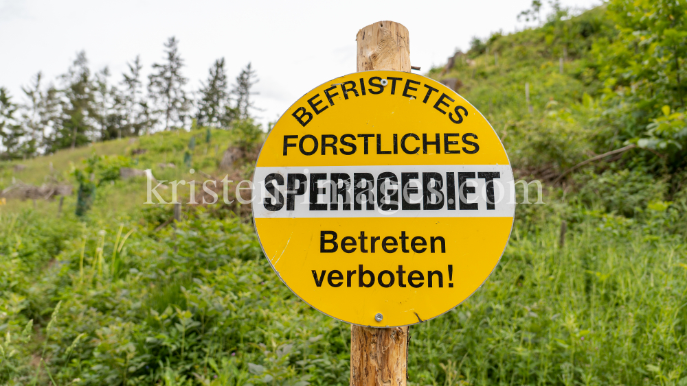 forstliches Sperrgebiet / Lanser Kopf, Paschberg, Lans, Tirol, Austria by kristen-images.com
