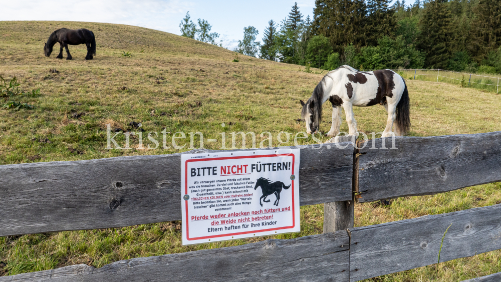 Pferdeweide / Pferde bitte nicht füttern by kristen-images.com