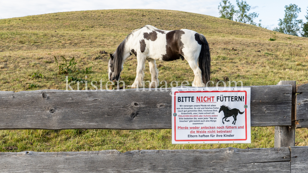 Pferdeweide / Pferde bitte nicht füttern by kristen-images.com