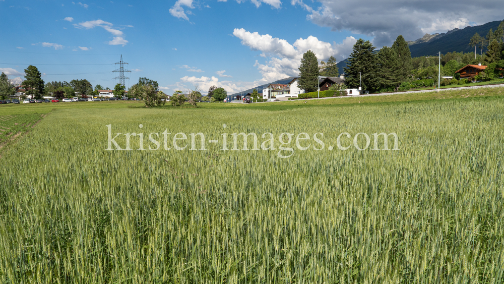 Weizenfeld / Igls, Innsbruck, Tirol, Austria by kristen-images.com