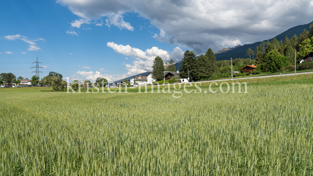 Weizenfeld / Igls, Innsbruck, Tirol, Austria by kristen-images.com