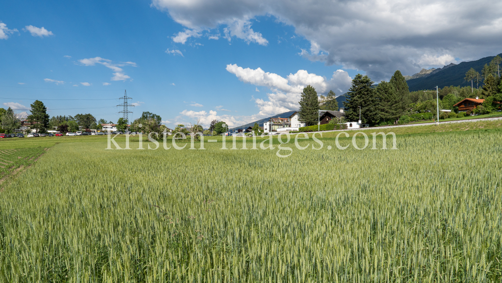 Weizenfeld / Igls, Innsbruck, Tirol, Austria by kristen-images.com