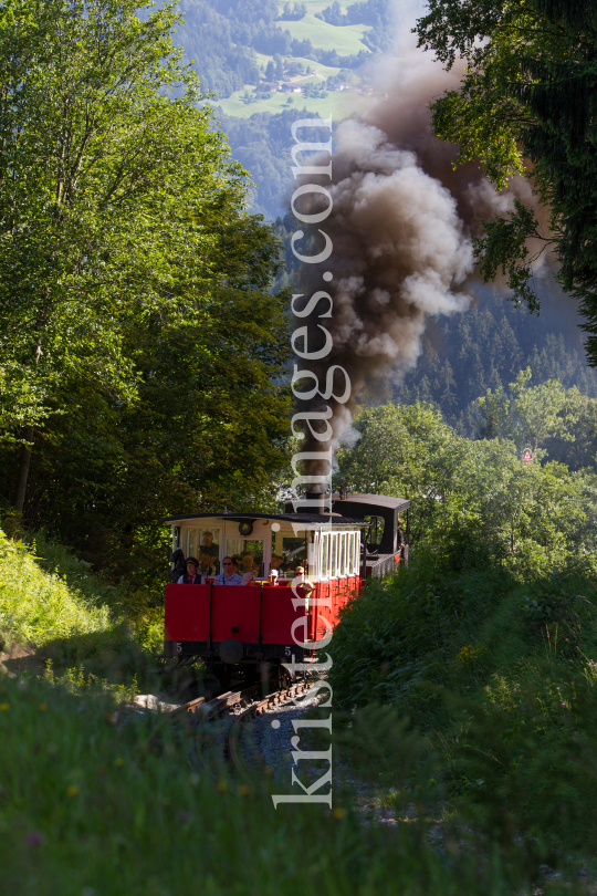 Achenseebahn zwischen Jenbach und Maurach Seespitz, Tirol, Austria by kristen-images.com