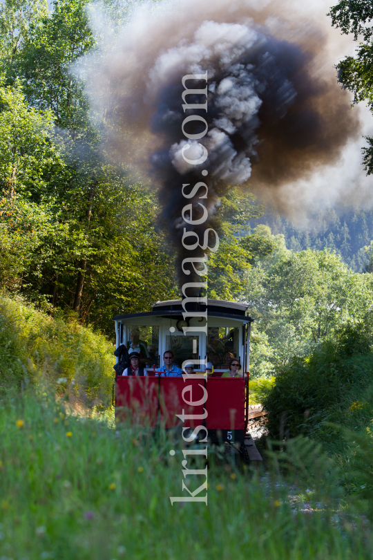 Achenseebahn zwischen Jenbach und Maurach Seespitz, Tirol, Austria by kristen-images.com