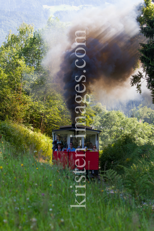 Achenseebahn zwischen Jenbach und Maurach Seespitz, Tirol, Austria by kristen-images.com