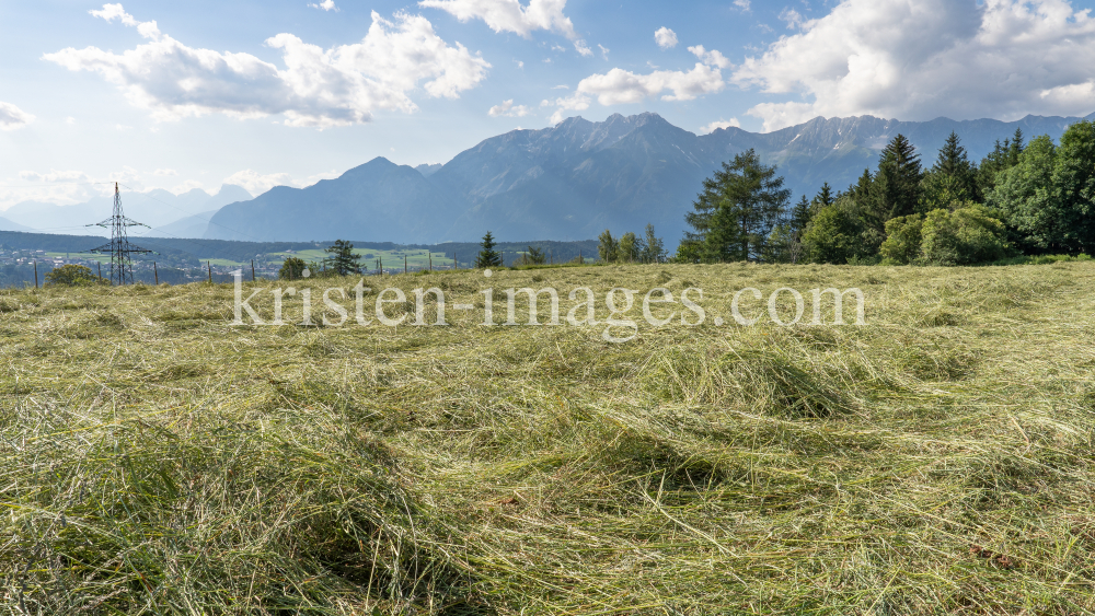 Heu auf einem Feld, Heumahd / Tirol, Austria by kristen-images.com