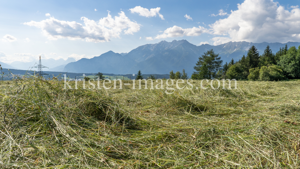Heu auf einem Feld, Heumahd / Tirol, Austria by kristen-images.com